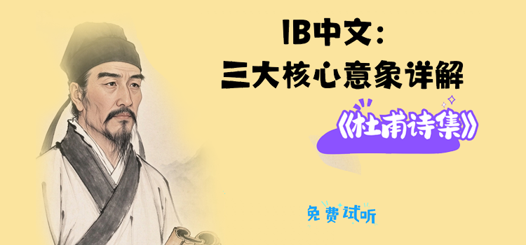 ib中文