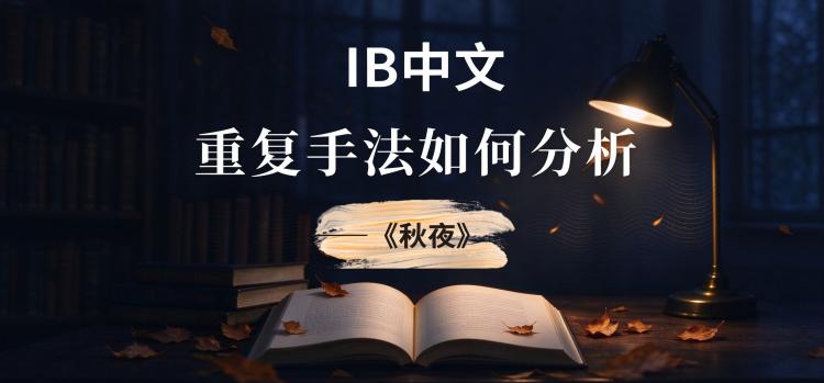 ib中文