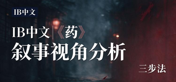 IB中文|《药》叙事视角分析三步法