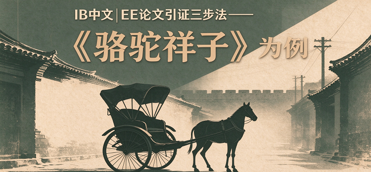 IB中文|EE论文引证三步法——《骆驼祥子》为例